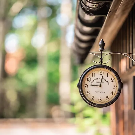 Wielohome * Wielogóra