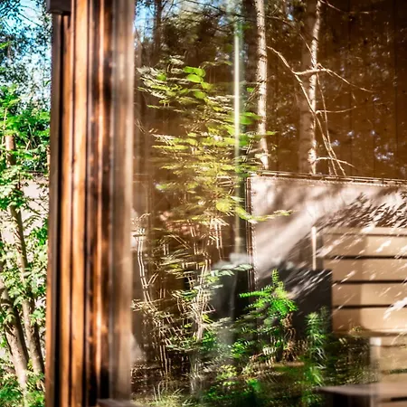 Wielohome * Wielogóra