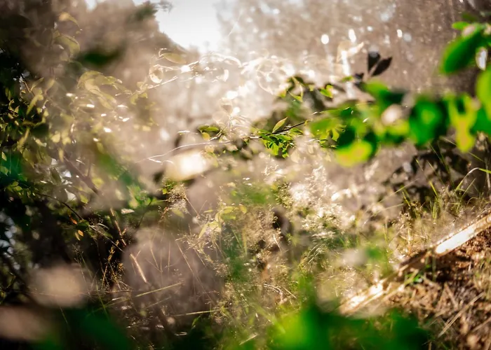 Wielohome Gospodarstwo wiejskie